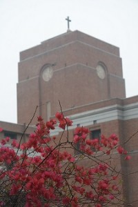 St. Stephen's College
